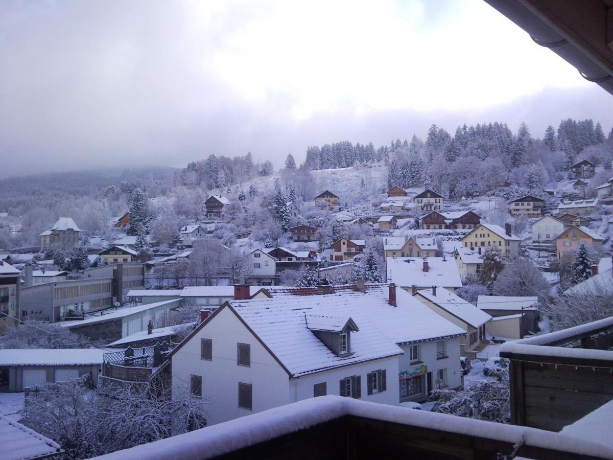 Tilleul Plaza Résidence Appart hôtel Gérardmer